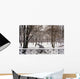 Snow In Central Park Wall Mural