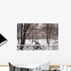 Snow In Central Park Wall Mural