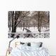 Snow In Central Park Wall Mural