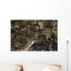 Midtown Manhattan Illuminated At Night Wall Mural