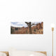 Bryce Canyon, Utah, Usa Wall Mural