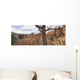 Bryce Canyon, Utah, Usa Wall Mural