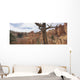 Bryce Canyon, Utah, Usa Wall Mural