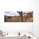 Bryce Canyon, Utah, Usa Wall Mural