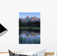 Grand Tetons From Schwabacher Landing Wall Mural