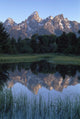 Grand Tetons From Schwabacher Landing Wall Mural
