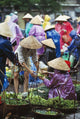 People At Street Vegetable Market Wall Mural