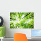 Nature Wall Mural
