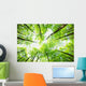 Nature Wall Mural