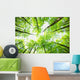 Nature Wall Mural