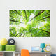 Nature Wall Mural