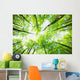 Nature Wall Mural