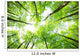 Nature Wall Mural