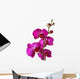 Pink Orchid Wall Decal