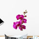Pink Orchid Wall Decal