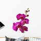 Pink Orchid Wall Decal