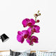 Pink Orchid Wall Decal