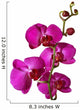 Pink Orchid Wall Decal