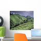 Green Fields On Hills Wall Mural