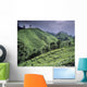 Green Fields On Hills Wall Mural