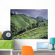 Green Fields On Hills Wall Mural