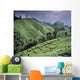Green Fields On Hills Wall Mural