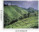 Green Fields On Hills Wall Mural
