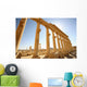 Ancient Ruins Of Palmyra Wall Mural