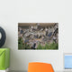 Zebra At Waterhole Wall Mural