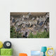 Zebra At Waterhole Wall Mural