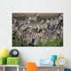 Zebra At Waterhole Wall Mural