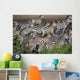 Zebra At Waterhole Wall Mural