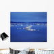 Rocks In Lake Wall Mural
