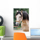 Pferd - Longe Wall Mural