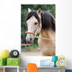 Pferd - Longe Wall Mural