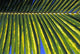 Mexico, Riviera Maya, Chankanaab Nature Park Wall Mural