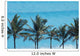 Mexico, Quintana Roo, Palm trees with turquoise sea Wall Mural