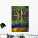 Reeds Reflecting On The Water Wall Mural