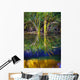 Reeds Reflecting On The Water Wall Mural