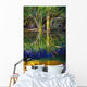 Reeds Reflecting On The Water Wall Mural