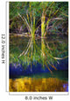 Reeds Reflecting On The Water Wall Mural