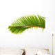 Palm Dtoure Bottle Leaf