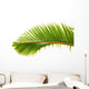 Palm Dtoure Bottle Leaf
