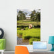 Woman Planting Rice Wall Mural