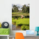 Woman Planting Rice Wall Mural