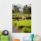 Woman Planting Rice Wall Mural