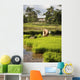Woman Planting Rice Wall Mural