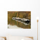 Peniches Wall Decal