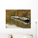 Peniches Wall Decal