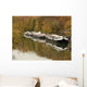 Peniches Wall Decal